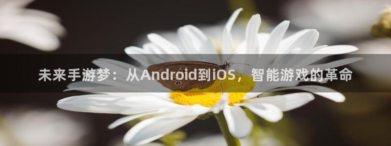 V8娱乐登录：未来手游梦：从Android到iOS，智能游戏