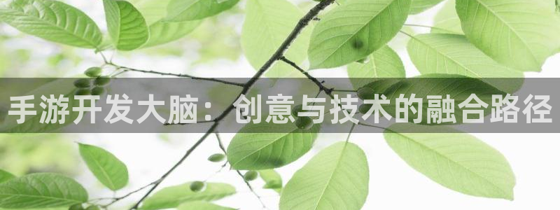 V8娱乐：手游开发大脑：创意与技术的融合路径