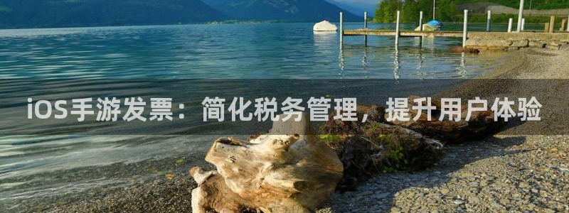 V8娱乐：iOS手游发票：简化税务管理，提升用户体验