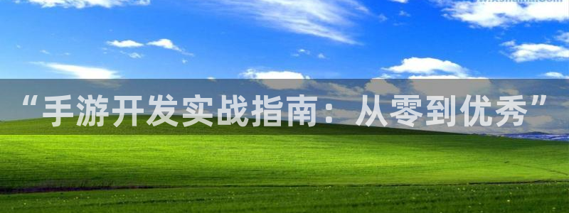 V8娱乐登录：“手游开发实战指南：从零到优秀”