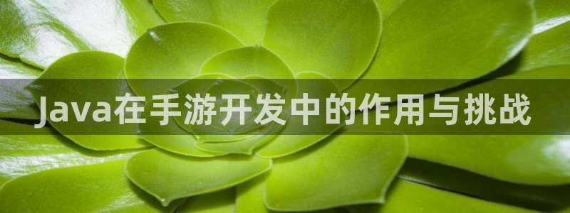 V8娱乐登录：Java在手游开发中的作用与挑战