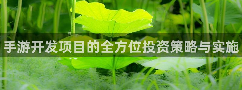 V8娱乐官网：手游开发项目的全方位投资策略与实施