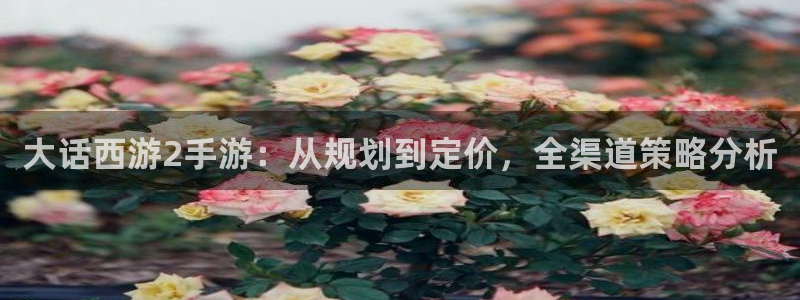 V8娱乐登录：大话西游2手游：从规划到定价，全渠道策略分析