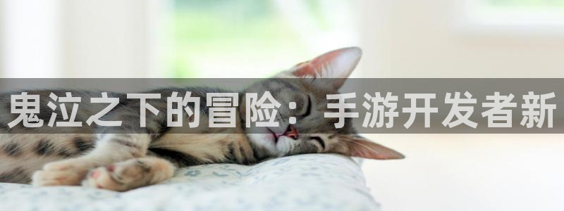 V8娱乐平台：鬼泣之下的冒险：手游开发者新