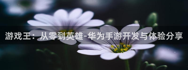 V8娱乐登录：游戏王：从零到英雄-华为手游开发与体验分享