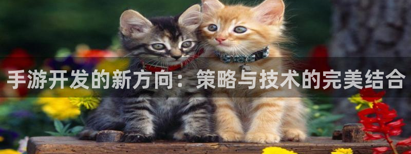 V8娱乐登录：手游开发的新方向：策略与技术的完美结合